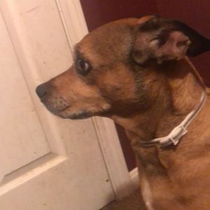 Meet your Posher, Zachary